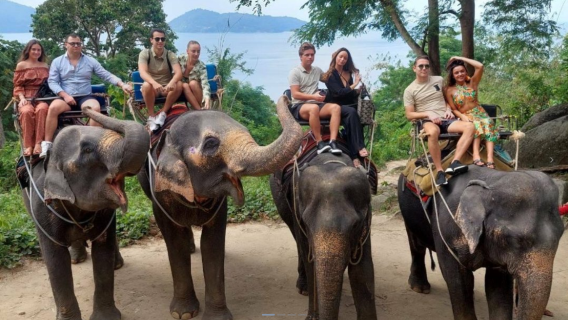 [ภูเก็ต] ขี่ช้างชมทะเลกาลิมา| ป่าดงดิบวิวทะเลป่าตอง