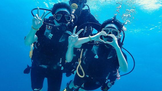 3-hour diving scuba diving experience in Bohol, Philippines [Momo Beach Introductory diving/ Includes photos and videos / Introductory diving Certificate / round-trip transportation]