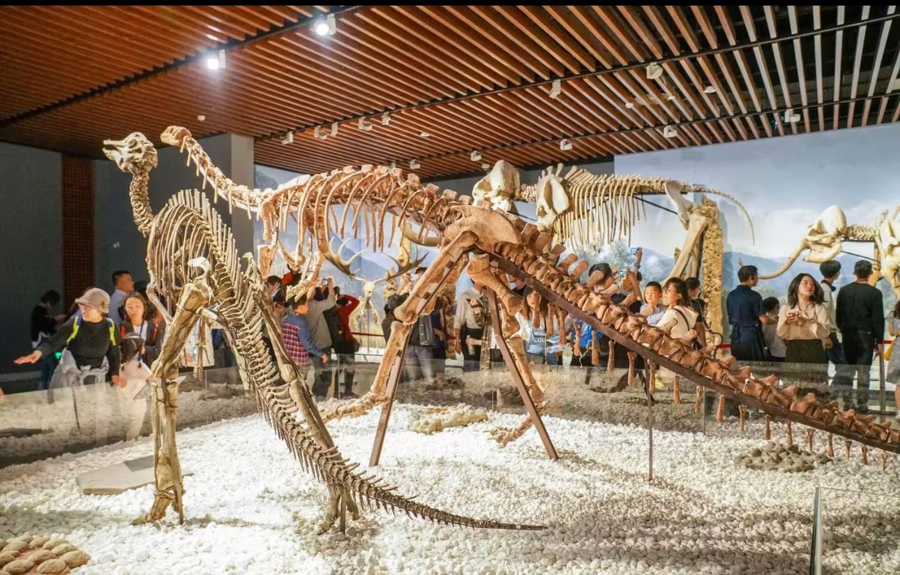 หนานจิง|บริการการบรรยายด้วยไกด์/ล่ามธุรกิจ/ไกด์นำเที่ยว/ไกด์ท้องถิ่นในเขตเจี้ยนเย่ มีบริการภาษาจีน! อังกฤษ! รัสเซีย! ฝรั่งเศส! และภาษาอื่นๆ โปรดสอบถามก่อนสั่งซื้อ เราจะจัดบริการตามความต้องการของคุณ