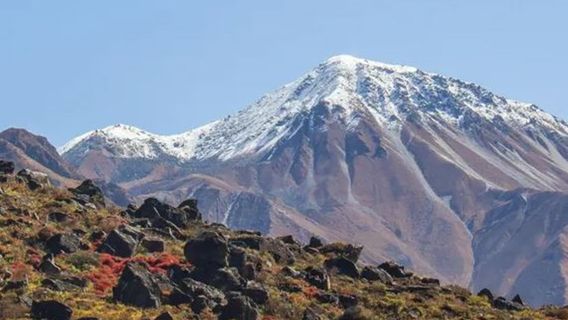 ChitwanTravel Services