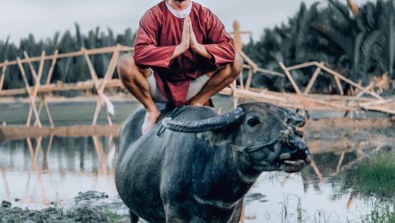 Partenze da Hoi An| tour organizzati del villaggio agricolo e di pescatori