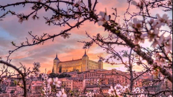 馬德里-托萊多解鎖大教堂與聖馬丁橋+古城步行 + 眺望台全景