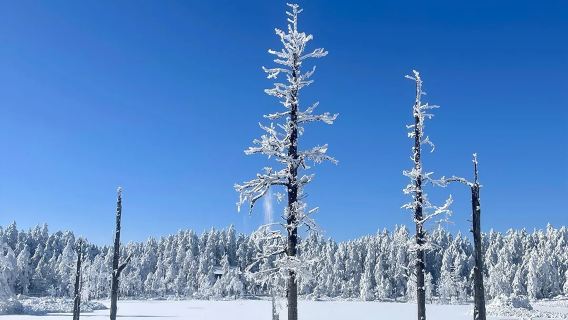 Chengdu Wawu Mountain Tagesausflug Privattour – Entdecken Sie die Naturreise der vier Jahreszeiten – Ticket – Transportservice