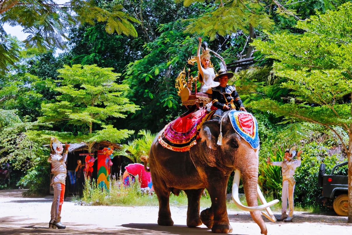 [Mong Chang Cafe] Pattaya Wang Chang Elephant Cafe|Elephant Interaction|Fun performance|ATV|Instagram-worthy Photo Spots|Perfect for families, couples, and best friends
