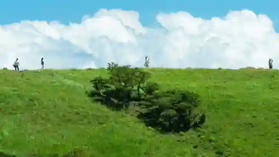 日本伊豆：大室山+仙人掌動物園+城崎海岸+伊豆觀海列車