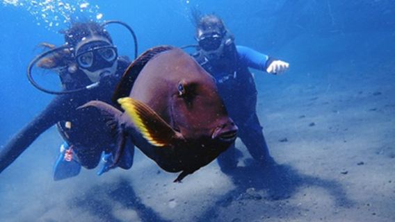 Gili TrawanganTur Satu Hari