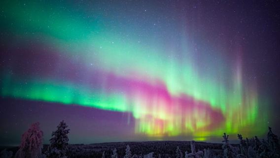 Night Snowshoeing Adventure under the Northern Lights