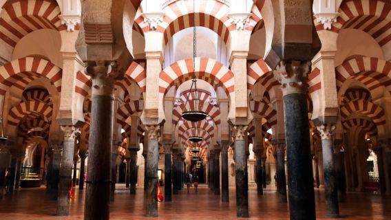 Visita guidata della moschea, del quartiere ebraico e dell'Alcazar di Cordova