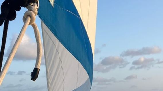 Grand Cayman: Stingray City Catamaran Sunset Tour