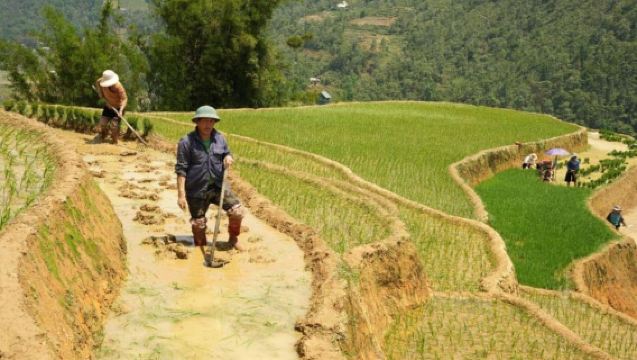 Sapa: Half Day Treck To Visit Y Linh Ho , Lao Chai, Ta Van