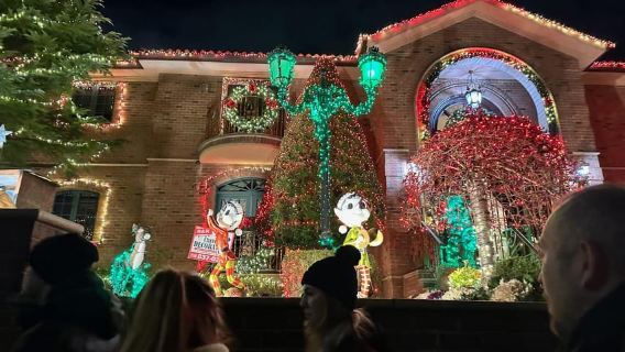 NYC di Malam Hari: Tur 3,5 Jam Menikmati Lampu-Lampu Liburan