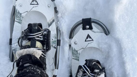 Arctic Gateway: การเดินทางด้วยรองเท้าหิมะในแลปแลนด์