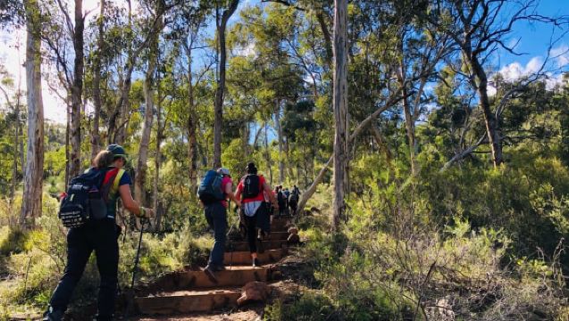 Perth: Ruta Numbat en el Santuario de Vida Silvestre Paruna