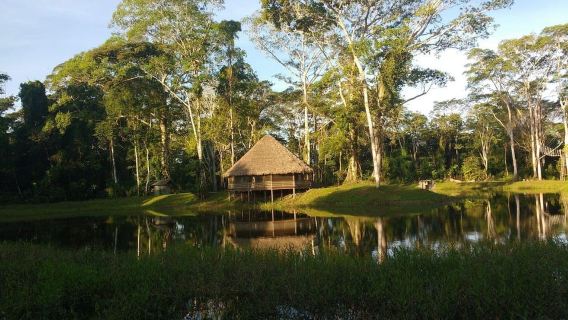 Madre de Dios: Lake Saldoval + Visit to the Macaws