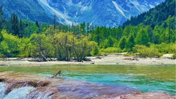 Tour privado por Bipenggou