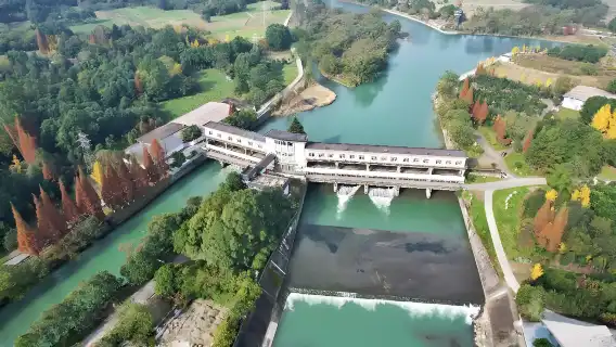 Chengdu's must-see Dujiangyan and Qingcheng Mountains English Group Day Tour: Explore the spectacular water conservancy projects