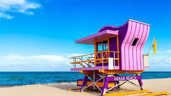 Miami Must Do!! Miami's Most Unforgettable VIP City Tour! (6hr)