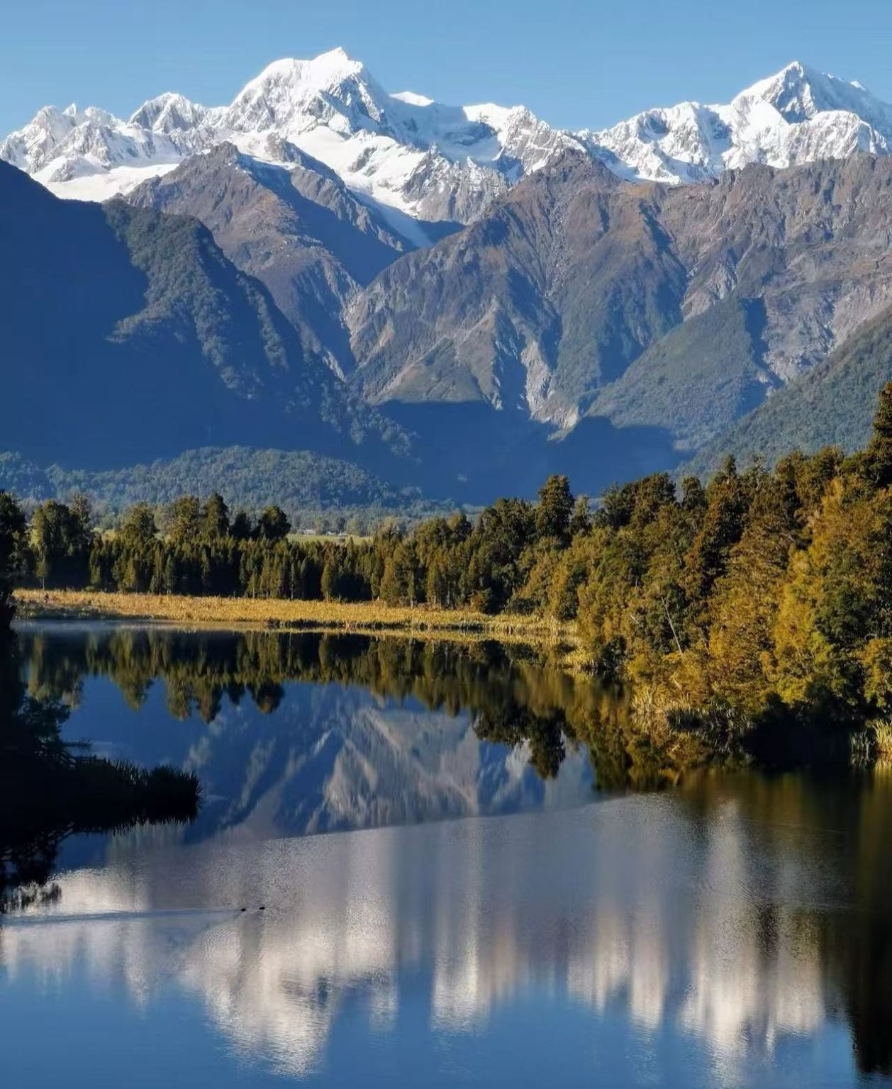 紐西蘭皇后鎮米爾福德峽灣一日遊【中文司機+12小時服務】