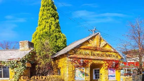 九州太宰府別府纜車湯布院小鎮由布院花卉村金鱗湖一日遊