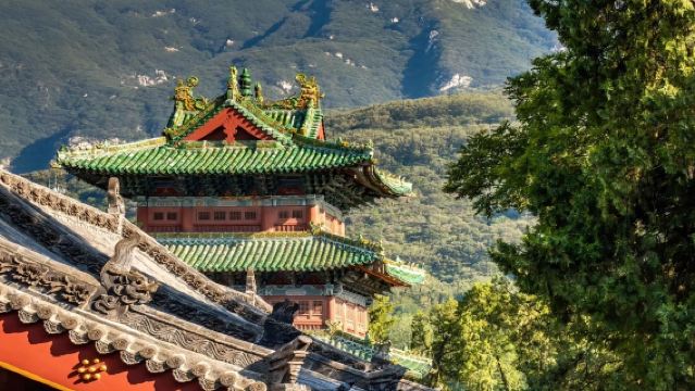 洛陽包車-少林寺一日遊