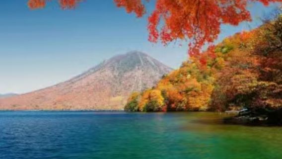 【楓葉季】 日光東照宮+中禪寺湖+華嚴+伊呂波阪包車1日遊