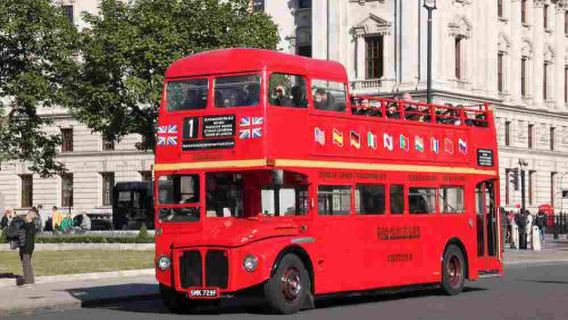 Hongkonger Palastmuseum + Victoria Peak + Abendliche Hafenrundfahrt + Sunset Roller Coaster 20 Personen Tagesausflug