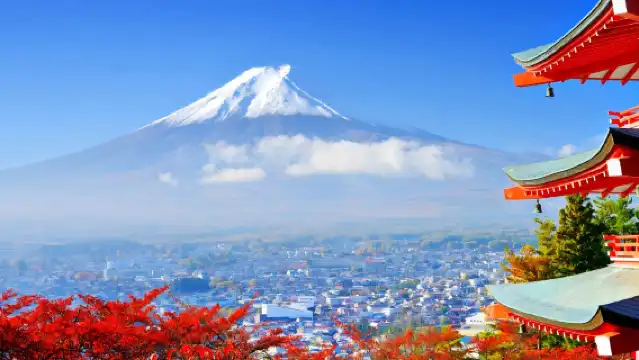 日本東京富士山全景遊丨網紅公園&忍野八海&日川時計店羅森&河口湖&山中湖可選丨東京出發