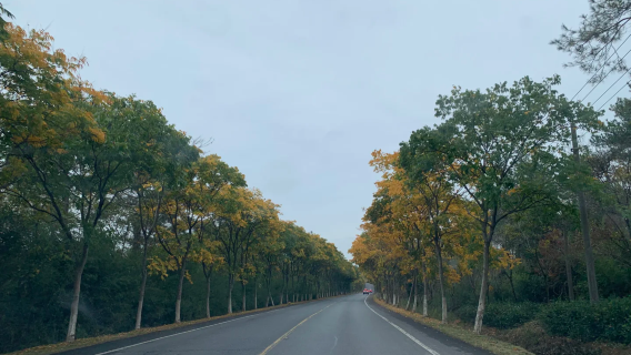 茅山一日遊，解鎖道家文化 + 秋日盛景