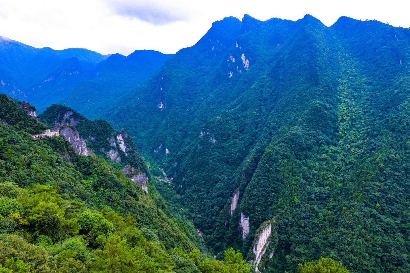 [Chongqing Fuling - Gola di Wulingshan - Tour di un giorno approfondito] (opzionale con guida in inglese)