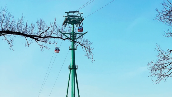 Privater Tagesausflug in Harbin: Seilbahn, Russisches Viertel & Opernhaus