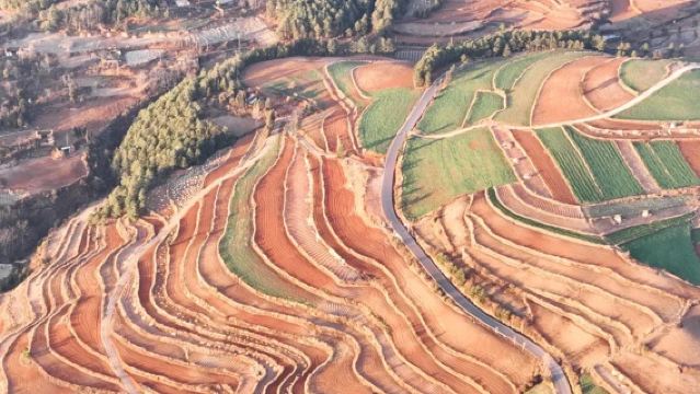 Kunming Dongchuan Red Land Private Charter Day Tour (Round-trip) - Admission Ticket Not Included