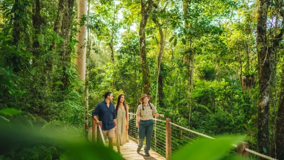 [Activités variées et multiples options de transport] Excursion d'une journée en chinois/anglais dans la forêt tropicale de Kuranda à Cairns