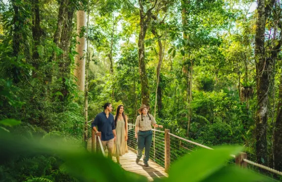 開恩茲庫蘭達熱帶雨林一日遊 中英文火車纜車雨林公園自由選擇