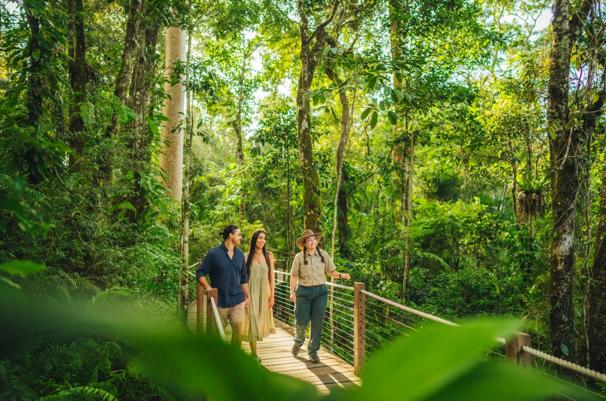 [ล่าม] ทัวร์ 1 วันป่าฝนเขตร้อนแคนส์คูรันดา รถไฟ กระเช้าลอยฟ้า สวนป่าฝน