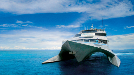 Cairns Great Barrier Reef Quicksilver Agincourt Reef Cruise 1-day Tour [Optional Helicopter/Meals Included]