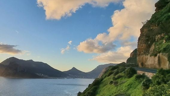 Cape Peninsula: Full-Day Guided Tour + Lunch + Transfer