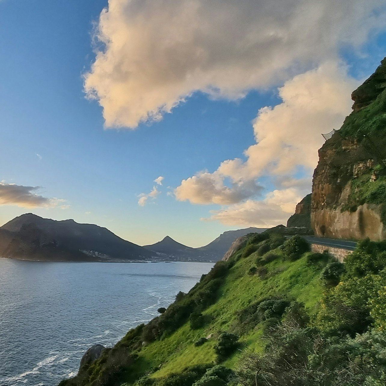 Cape Peninsula: Full-Day Guided Tour + Lunch + Transfer