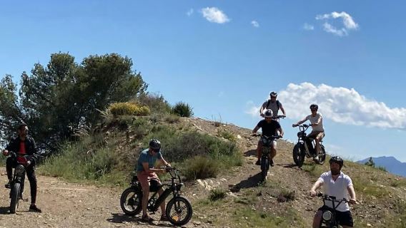Málaga : Visite guidée en vélo électrique tout-terrain