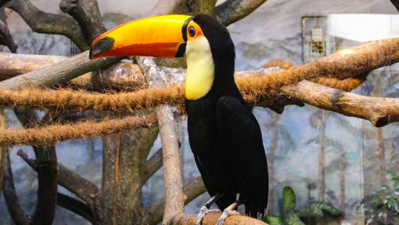 Taman Kebun Binatang Warsaw dengan Transportasi Pribadi