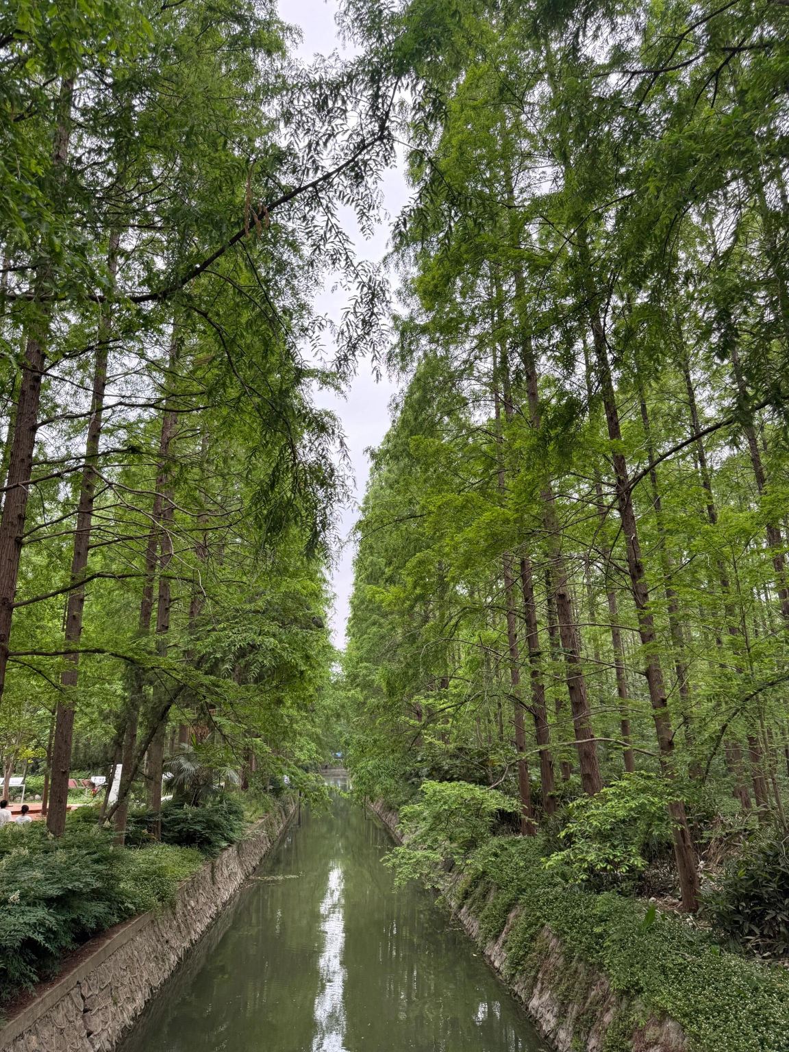 1-day private charter tour to Qianjiang Ecological Lobster City, Metasequoia Garden, and Cao Yu Memorial Hall with bilingual Chinese-English service