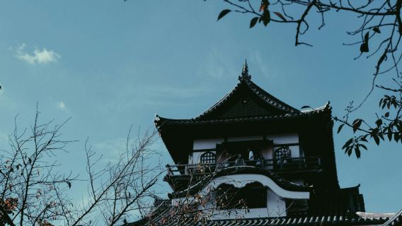 Nagoya Magome & Tsumago-juku & Ena Kyo Observation Deck & Inuyama Castle 1-day tour|Group option for up to 9 people