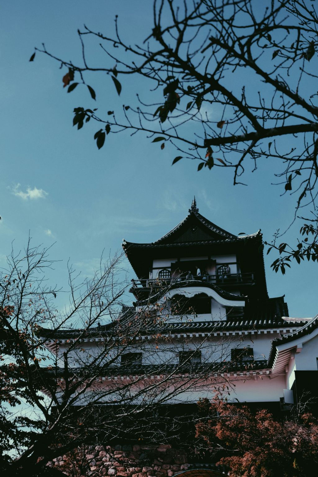 1-Day Customized Private Chartered Tour in Central Japan [Applicable for Nagoya/Takayama/Shirakawa-go/Kanazawa and More]