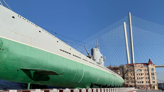 Vladivostok city day tour (customizable surrounding tours available) with hotel pickup and drop-off