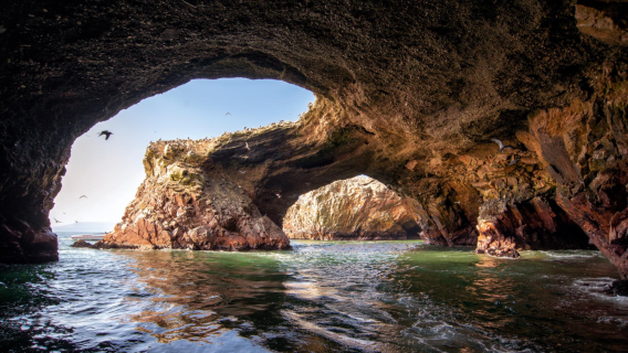 Lima, Peru - Paracas National Reserve - Private Charter - Ballestas Islands + Nazca Lines