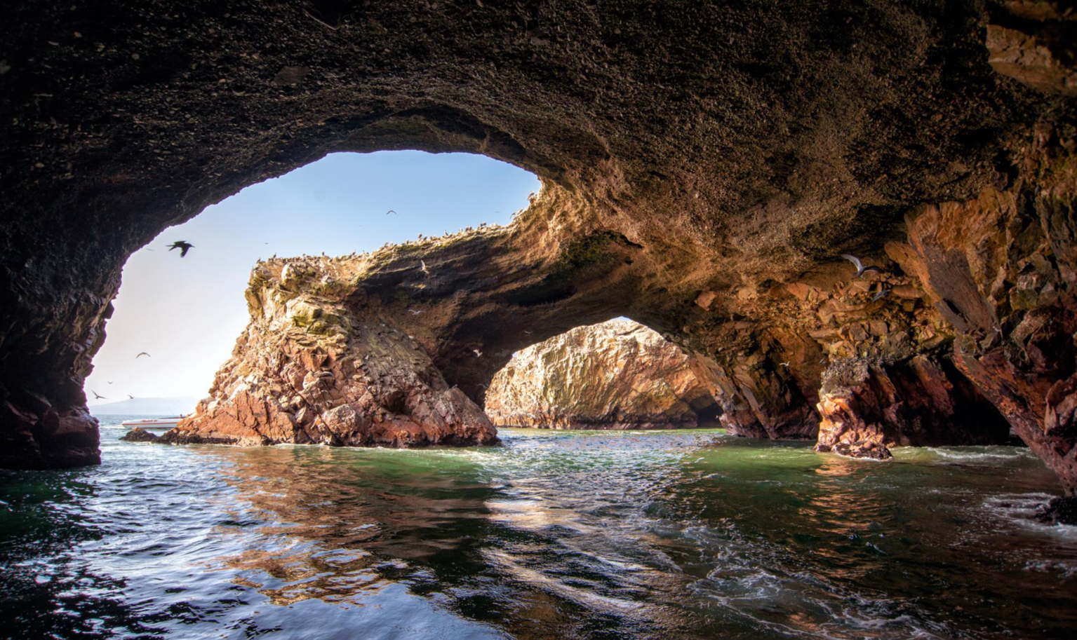 페루 리마- 파라카스 국립보호구역-전세 차량-바예스타스 조류섬+나스카 라인