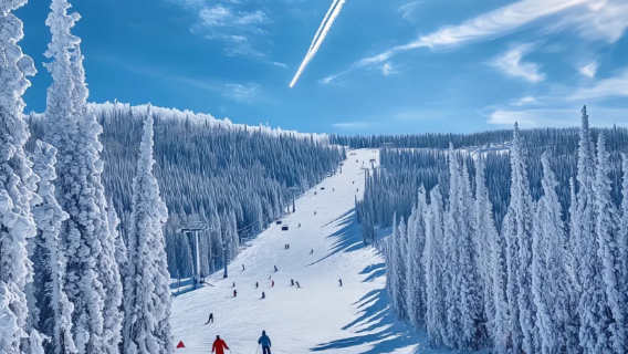 Winter-exclusive in Aomori, Japan|Hakkōda Mountains + Ski Park + Asamushi Onsen Private Charter 1-Day Tour