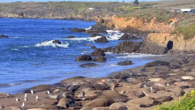 San Francisco ke Los Angeles, Amerika Syarikat - Keseluruhan Laluan|Jelajahi Lebuhraya No. 1/Lebuhraya viral yang wajib dikunjungi|Boleh Disesuaikan