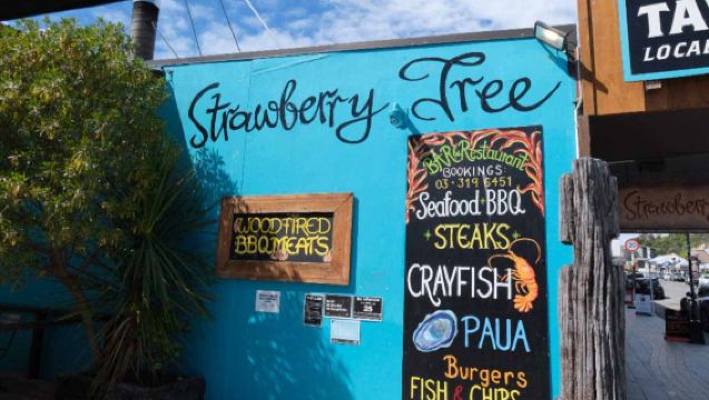 Whale Watching Tour in Kaikoura, New Zealand (Round-Trip from Christchurch with Admission Ticket & Hotel Transfer)