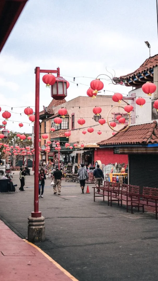 Chinatown + Angels Flight Railway + Hollywood Walk of Fame + Beverly Hills (World cup classic city tour)