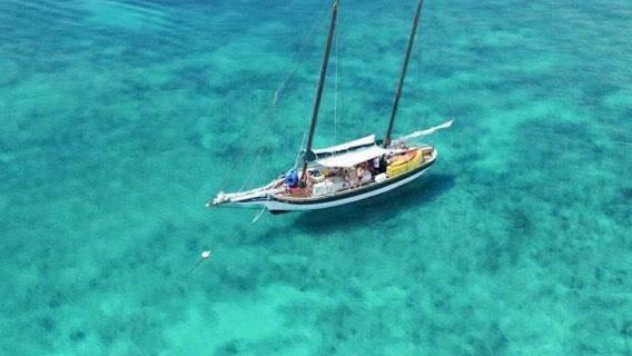 Randonnée écologique Bugeye en pleine nature